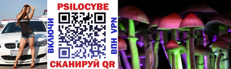 Псилоцибиновые грибы Psilocybine cubensis  Яблоновский 